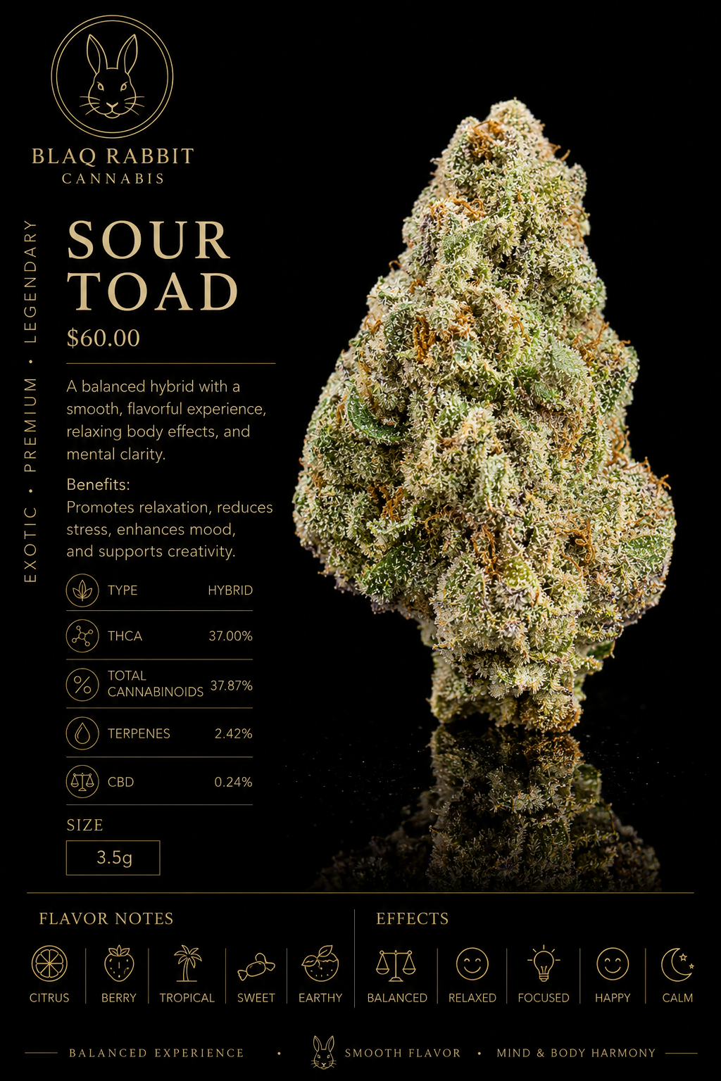Sour Toad